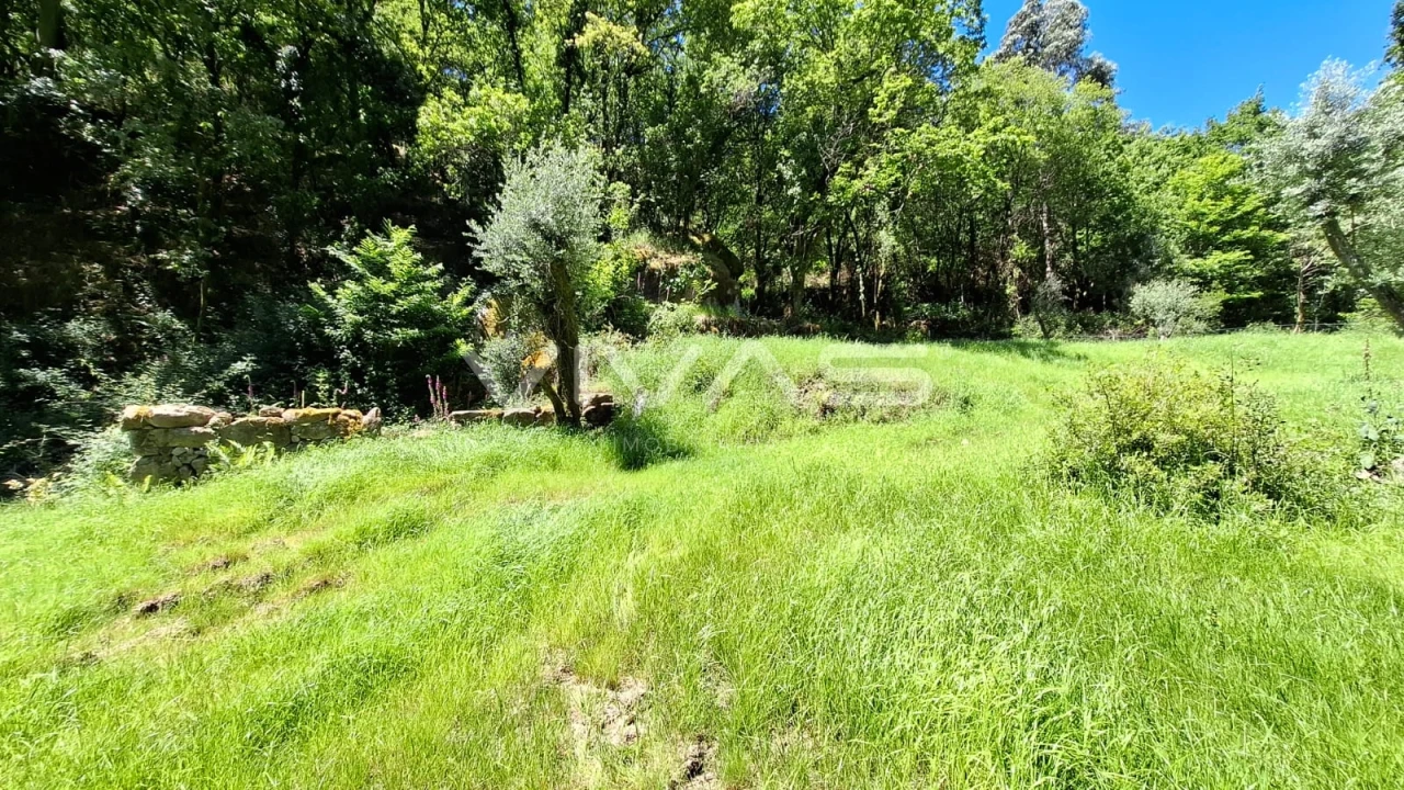 Moradia T0 para Venda em Vilar da Veiga Foto 22