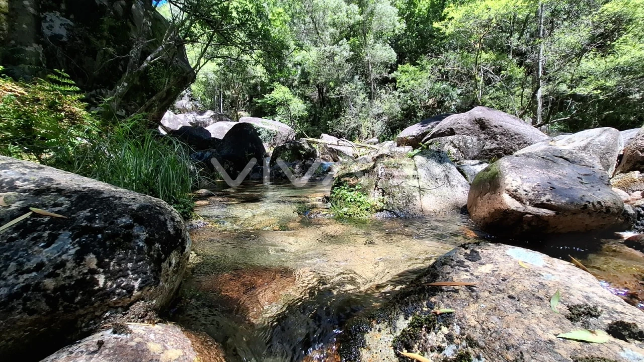 Moradia T0 para Venda em Vilar da Veiga Foto 7