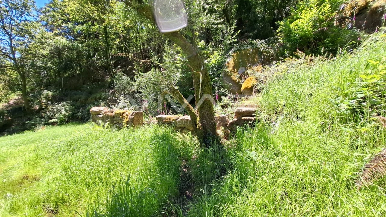 Moradia T0 para Venda em Vilar da Veiga Foto 17