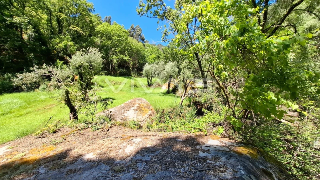 Moradia T0 para Venda em Vilar da Veiga Foto 15