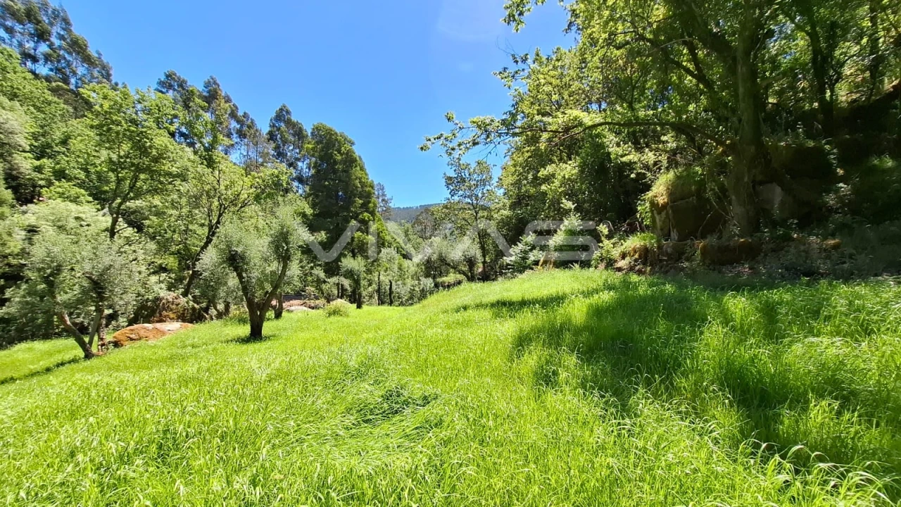 Moradia T0 para Venda em Vilar da Veiga Foto 26