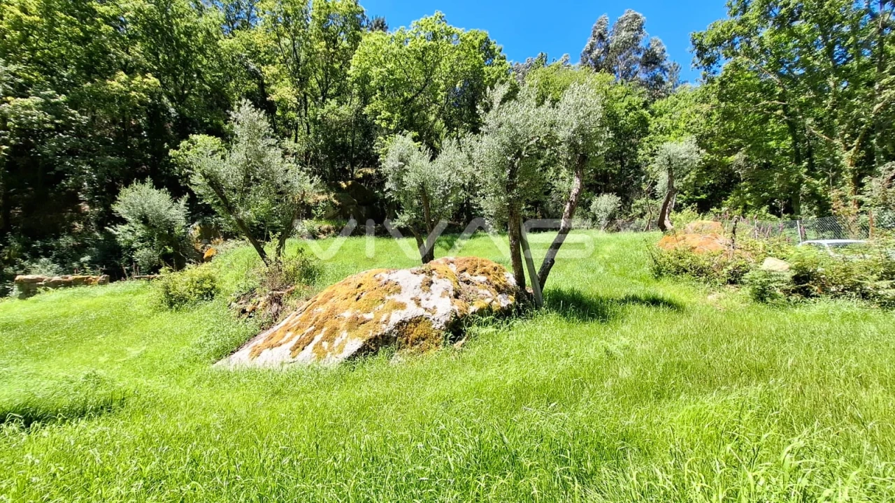 Moradia T0 para Venda em Vilar da Veiga Foto 21