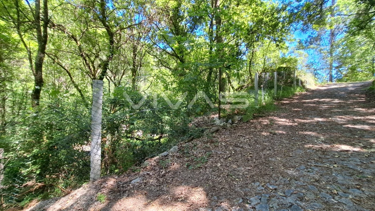 Moradia T0 para Venda em Vilar da Veiga Foto 4