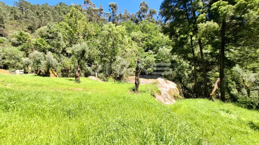 Moradia T0 para Venda em Vilar da Veiga Foto 16