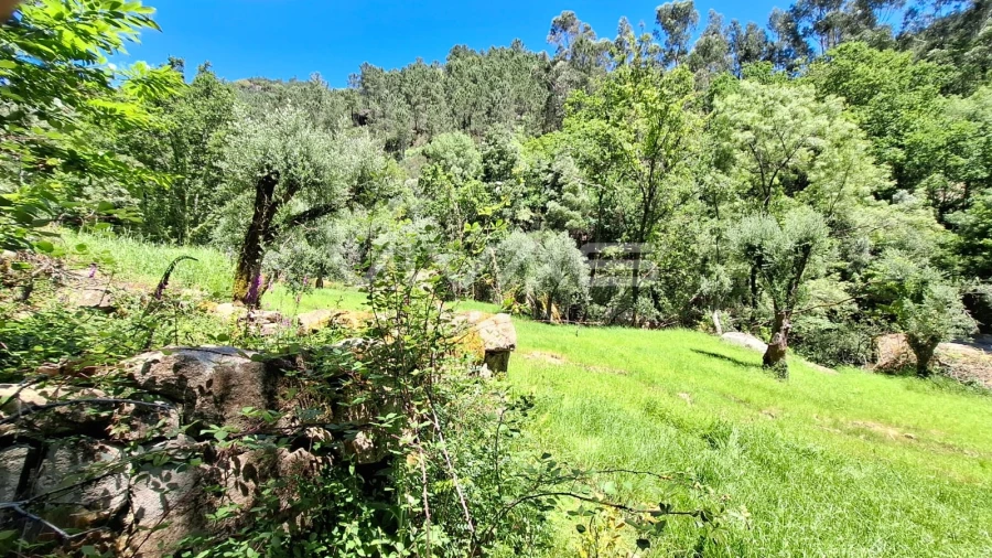 Moradia T0 para Venda em Vilar da Veiga Foto 30