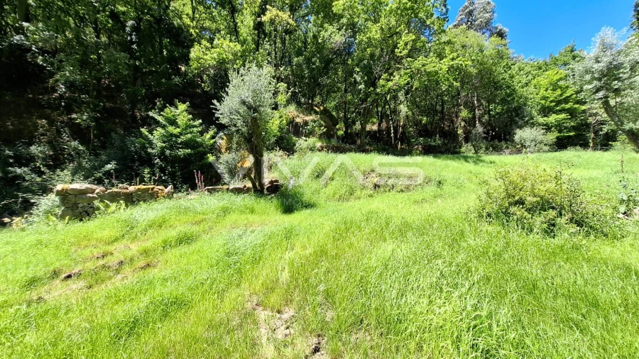 Moradia T0 para Venda em Vilar da Veiga Foto 22