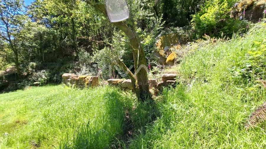 Moradia T0 para Venda em Vilar da Veiga Foto 17