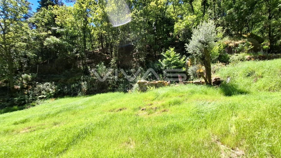 Moradia T0 para Venda em Vilar da Veiga Foto 19