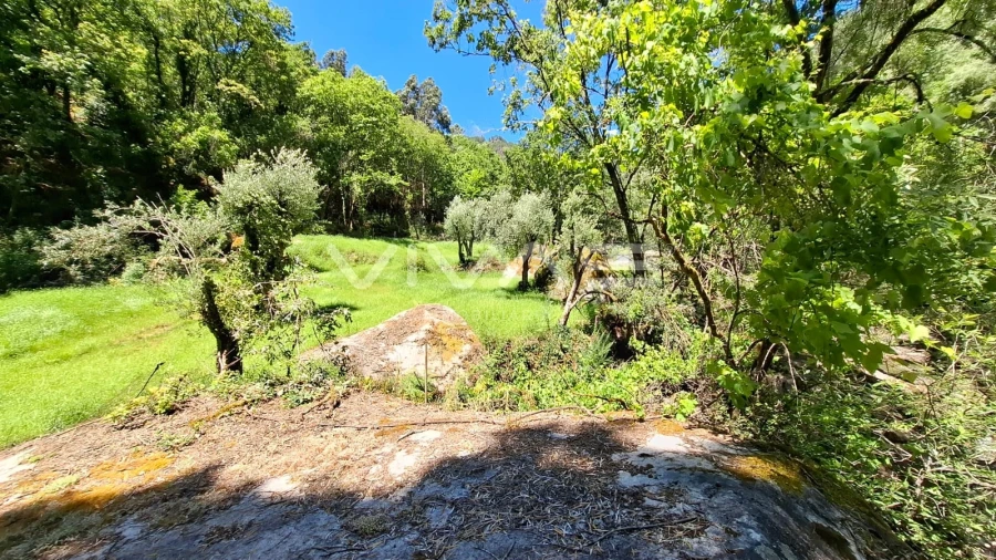 Moradia T0 para Venda em Vilar da Veiga Foto 15