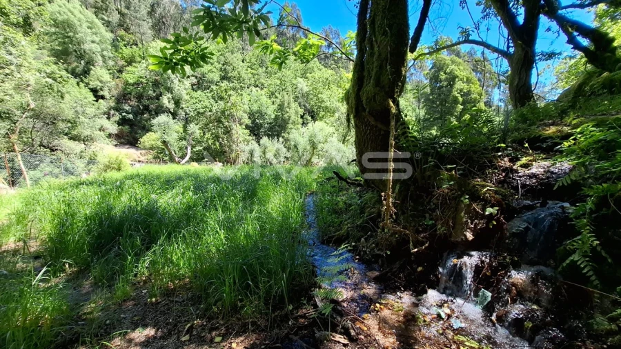 Moradia T0 para Venda em Vilar da Veiga Foto 13