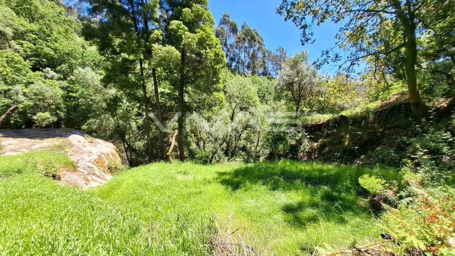 Moradia T0 para Venda em Vilar da Veiga Foto 23