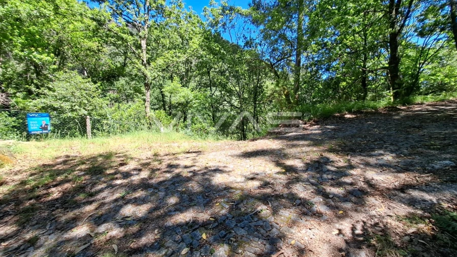 Moradia T0 para Venda em Vilar da Veiga Foto 28