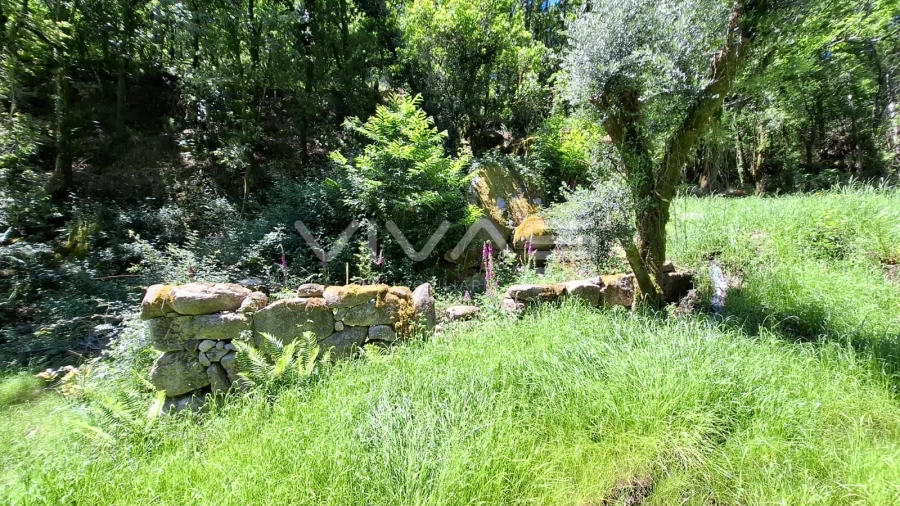 Moradia T0 para Venda em Vilar da Veiga Foto 20