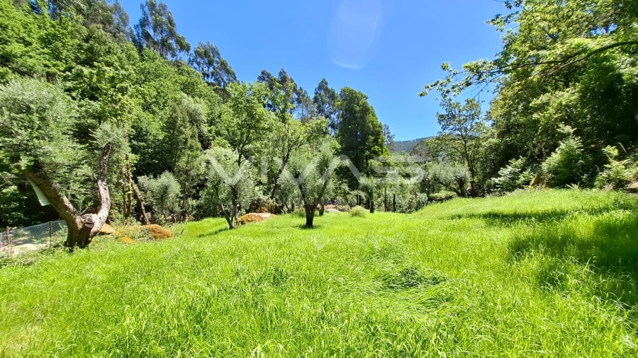 Moradia T0 para Venda em Vilar da Veiga Foto 29