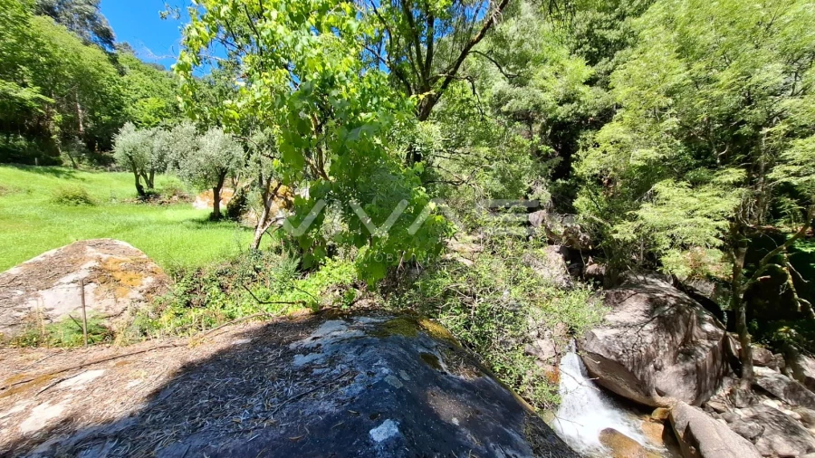 Moradia T0 para Venda em Vilar da Veiga Foto 32