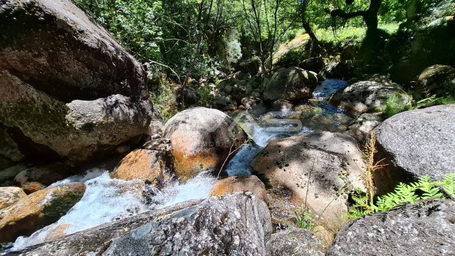 Moradia T0 para Venda em Vilar da Veiga Foto 11