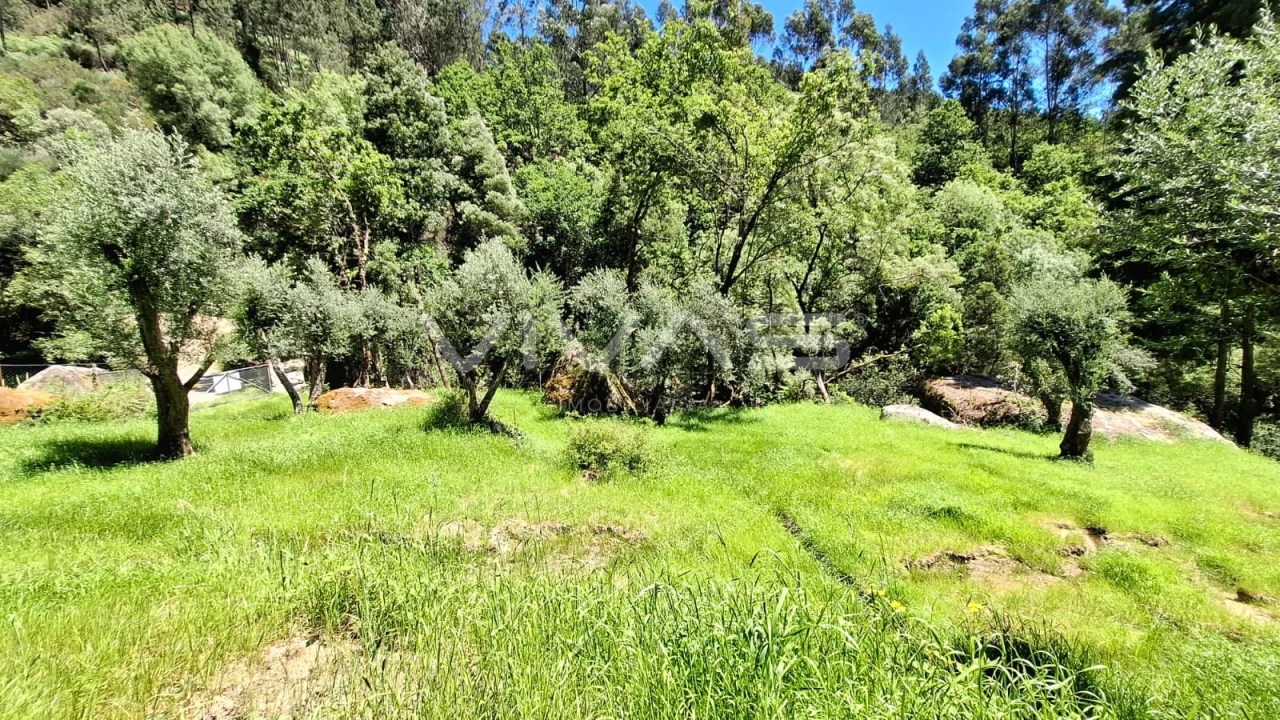 Moradia T0 para Venda em Vilar da Veiga Foto 25