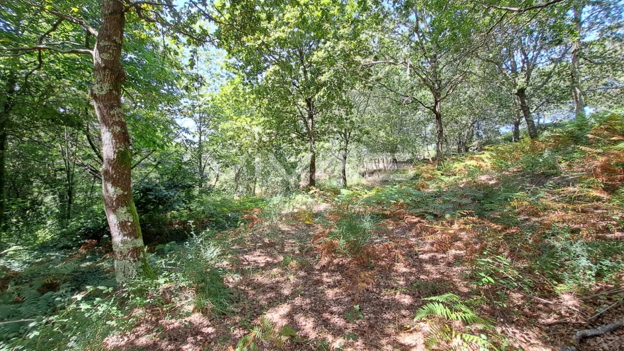 Terreno para Venda em Caldelas, Sequeiros e Paranhos Foto 20