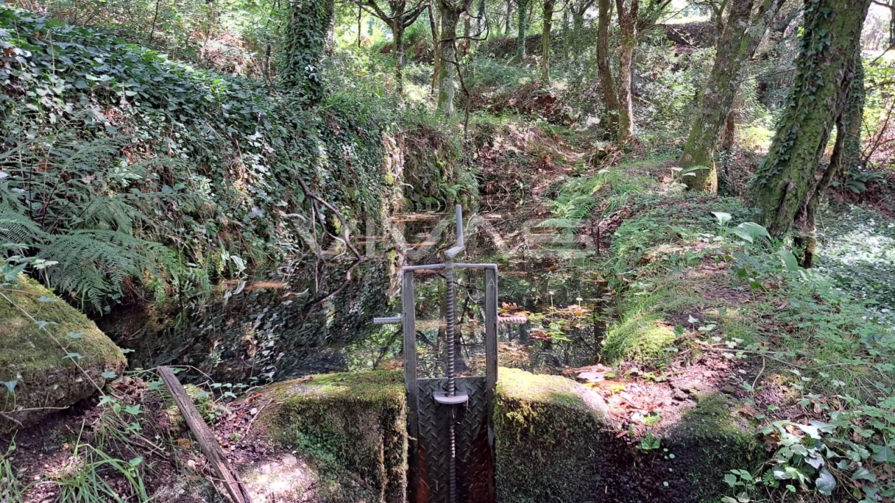 Terreno para Venda em Caldelas, Sequeiros e Paranhos Foto 11