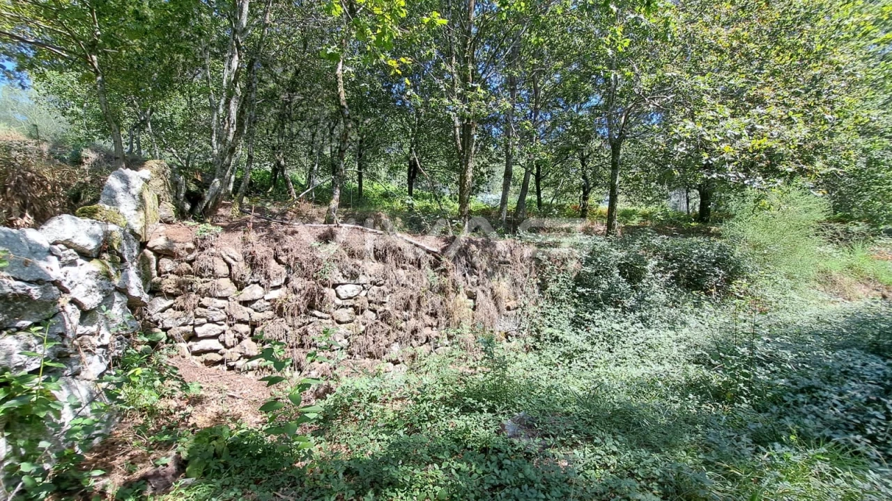 Terreno para Venda em Caldelas, Sequeiros e Paranhos Foto 6