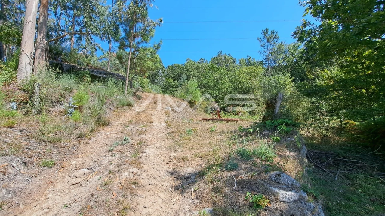 Terreno para Venda em Caldelas, Sequeiros e Paranhos Foto 3