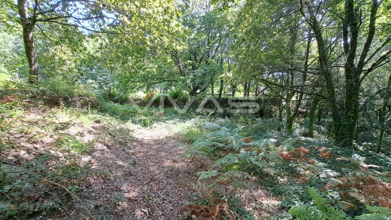 Terreno para Venda em Caldelas, Sequeiros e Paranhos Foto 15