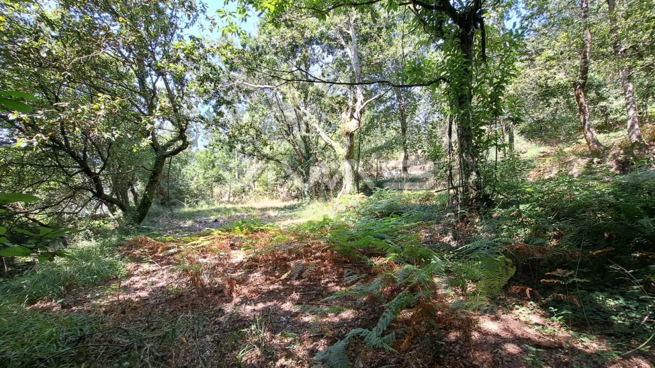 Terreno para Venda em Caldelas, Sequeiros e Paranhos Foto 8