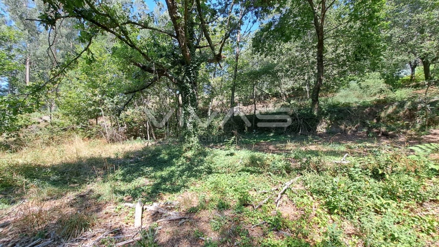 Terreno para Venda em Caldelas, Sequeiros e Paranhos Foto 17