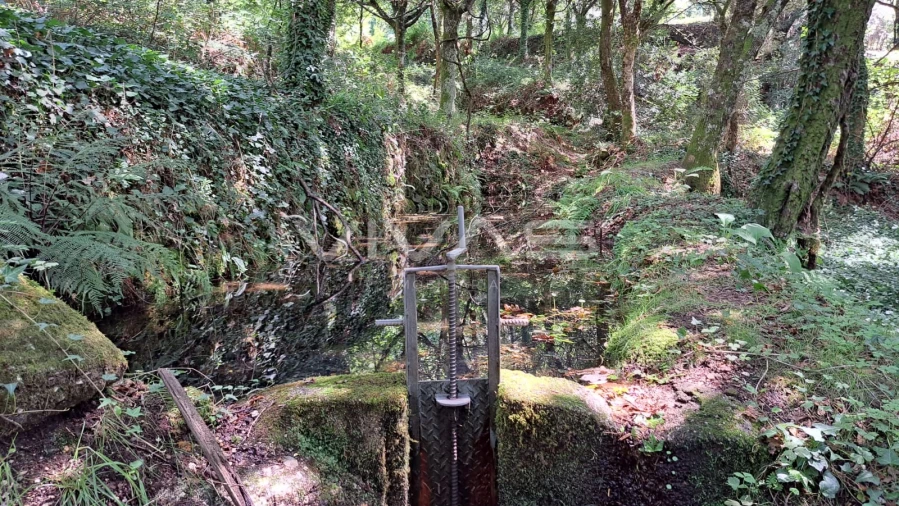 Terreno para Venda em Caldelas, Sequeiros e Paranhos Foto 11