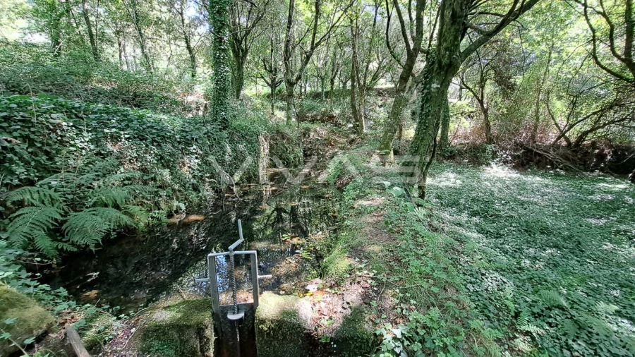 Terreno para Venda em Caldelas, Sequeiros e Paranhos Foto 12