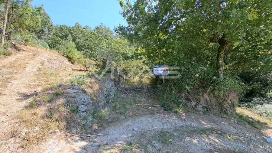 Terreno para Venda em Caldelas, Sequeiros e Paranhos Foto 2