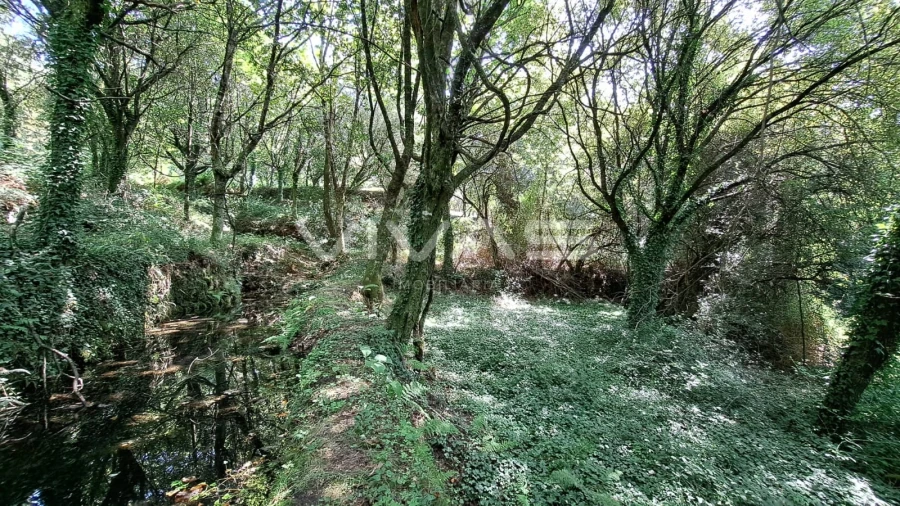 Terreno para Venda em Caldelas, Sequeiros e Paranhos Foto 19