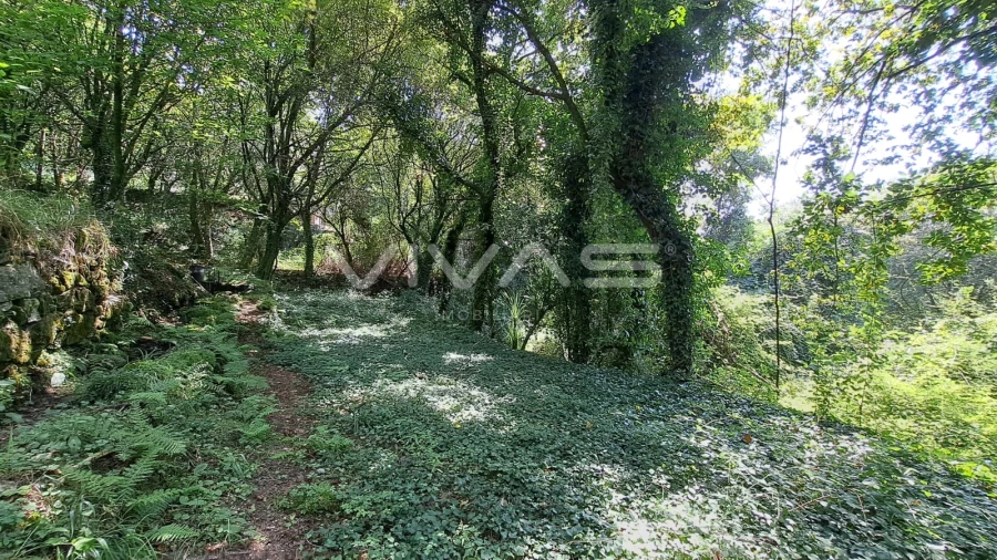Terreno para Venda em Caldelas, Sequeiros e Paranhos Foto 18