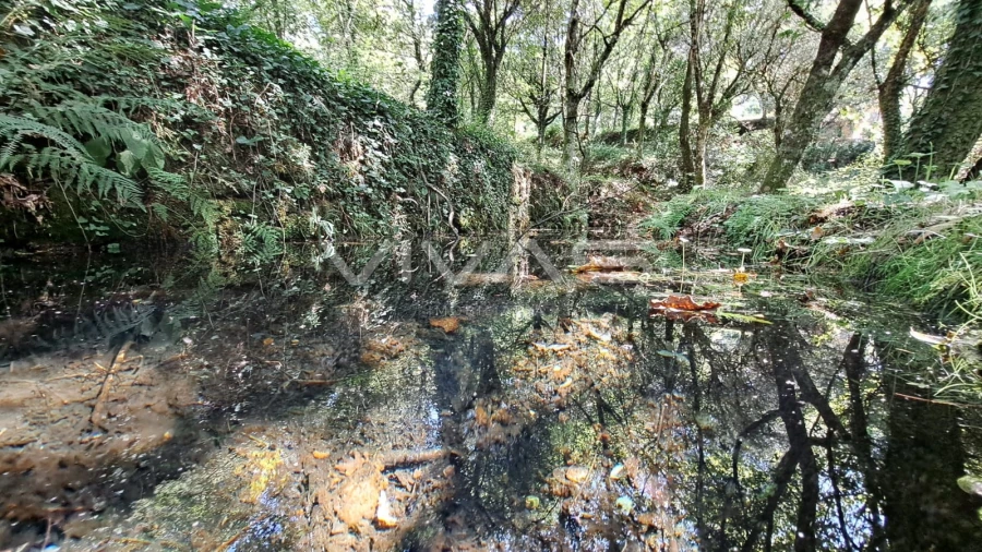 Terreno para Venda em Caldelas, Sequeiros e Paranhos Foto 13