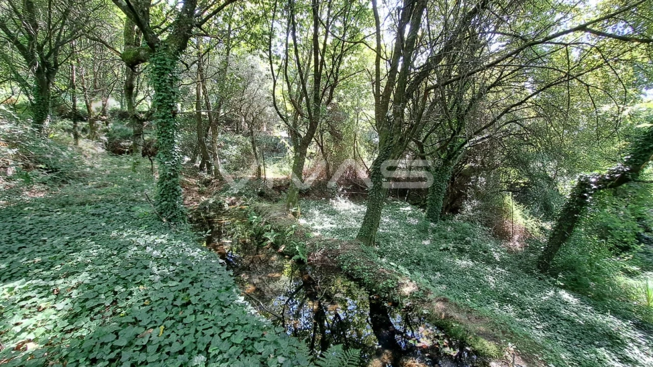Terreno para Venda em Caldelas, Sequeiros e Paranhos Foto 14