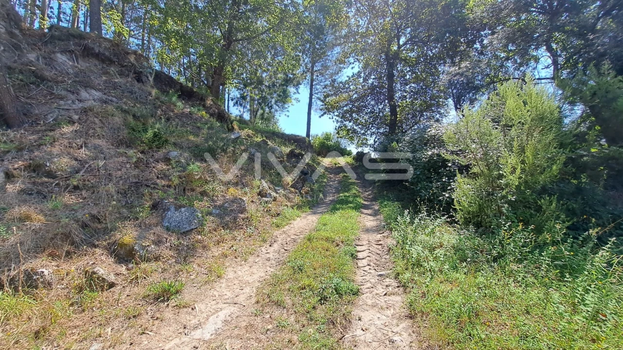 Terreno para Venda em Caldelas, Sequeiros e Paranhos Foto 4