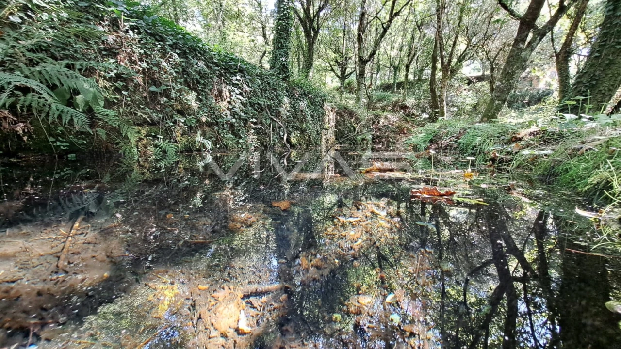 Terreno para Venda em Caldelas, Sequeiros e Paranhos Foto 13