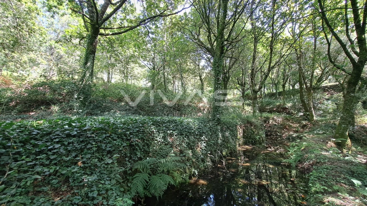 Terreno para Venda em Caldelas, Sequeiros e Paranhos Foto 16