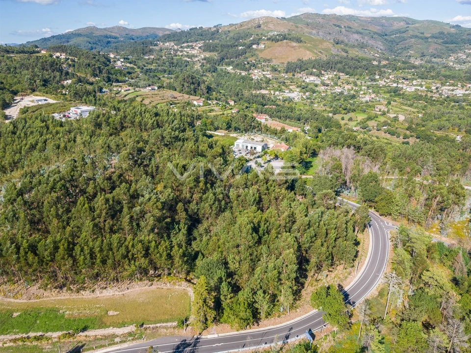 Terreno Agricola ou Rústico para Venda em Pico Foto 13