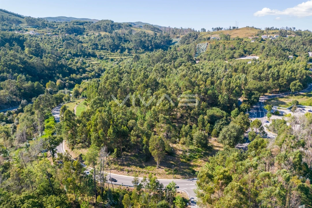 Terreno Agricola ou Rústico para Venda em Pico Foto 6