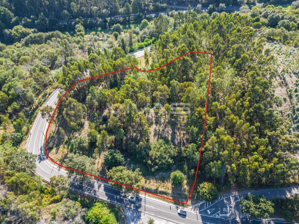 Terreno Agricola ou Rústico para Venda em Pico Foto 18