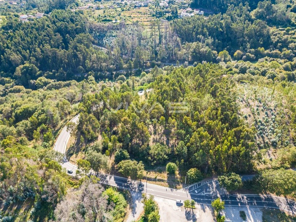 Terreno Agricola ou Rústico para Venda em Pico Foto 8