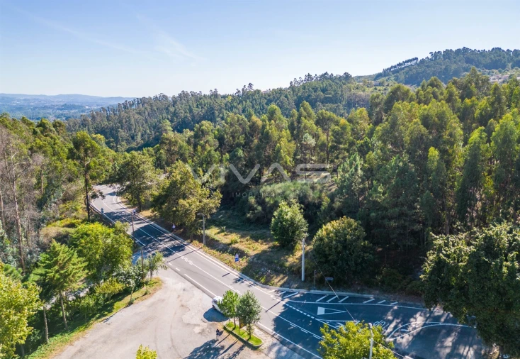 Terreno Agricola ou Rústico para Venda em Pico Foto 17