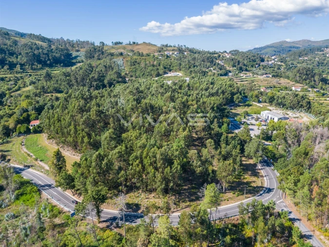 Terreno Agricola ou Rústico para Venda em Pico Foto 11