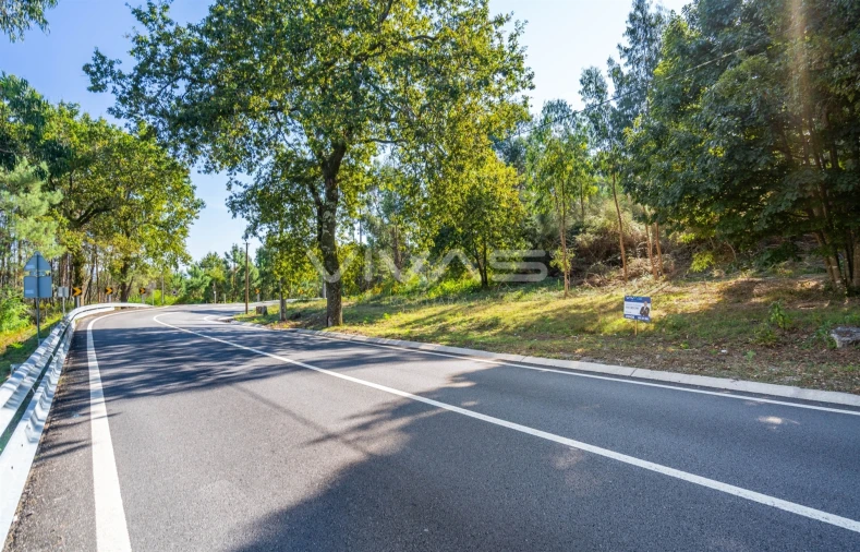 Terreno Agricola ou Rústico para Venda em Pico Foto 5