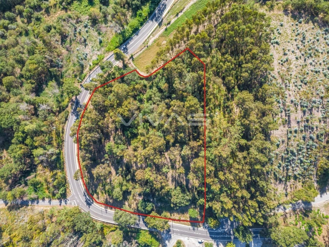 Terreno Agricola ou Rústico para Venda em Pico Foto 21