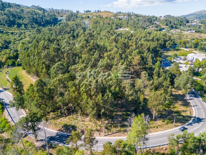 Terreno Agricola ou Rústico para Venda em Pico Foto 16