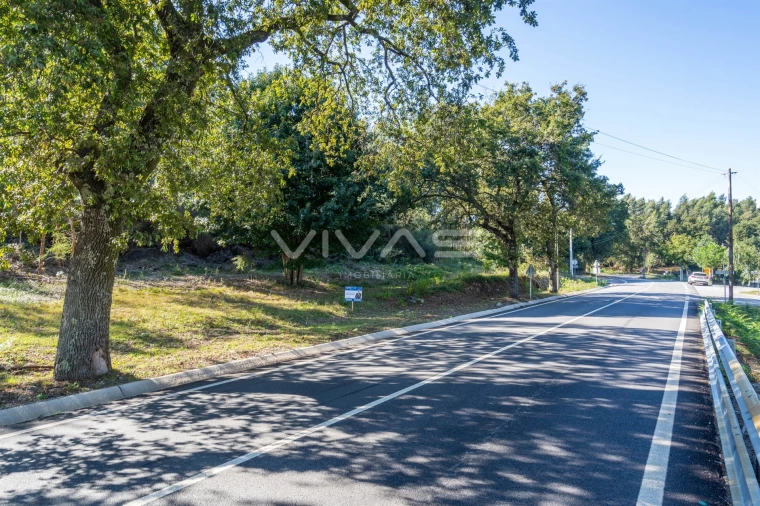 Terreno Agricola ou Rústico para Venda em Pico Foto 2