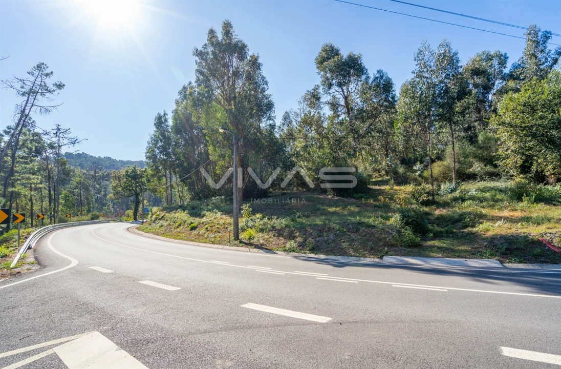 Terreno Agricola ou Rústico para Venda em Pico Foto 3