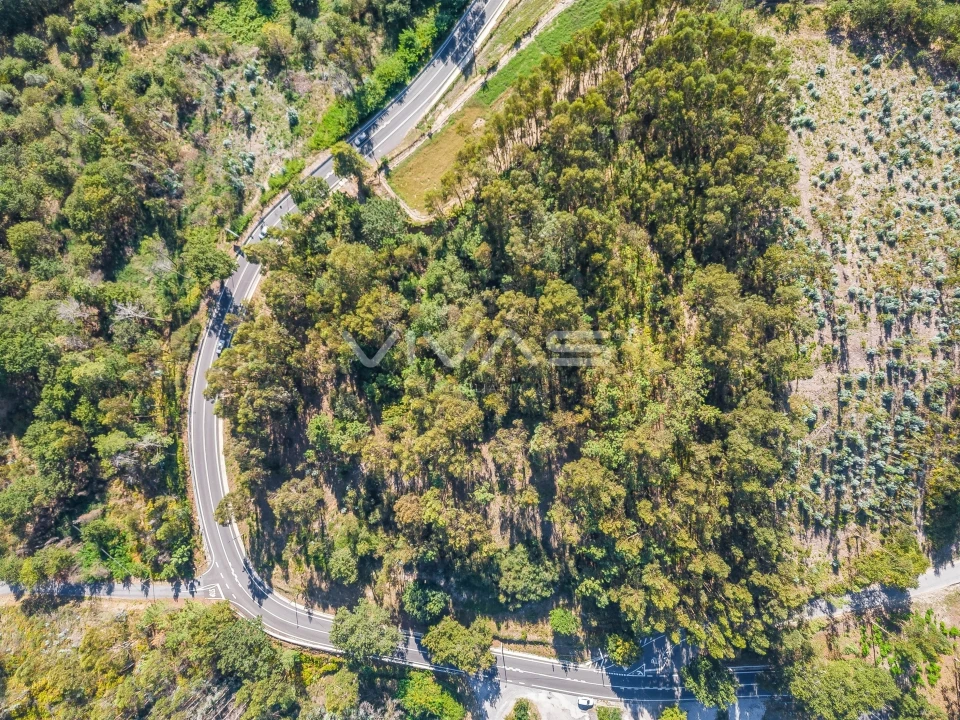 Terreno Agricola ou Rústico para Venda em Pico Foto 14